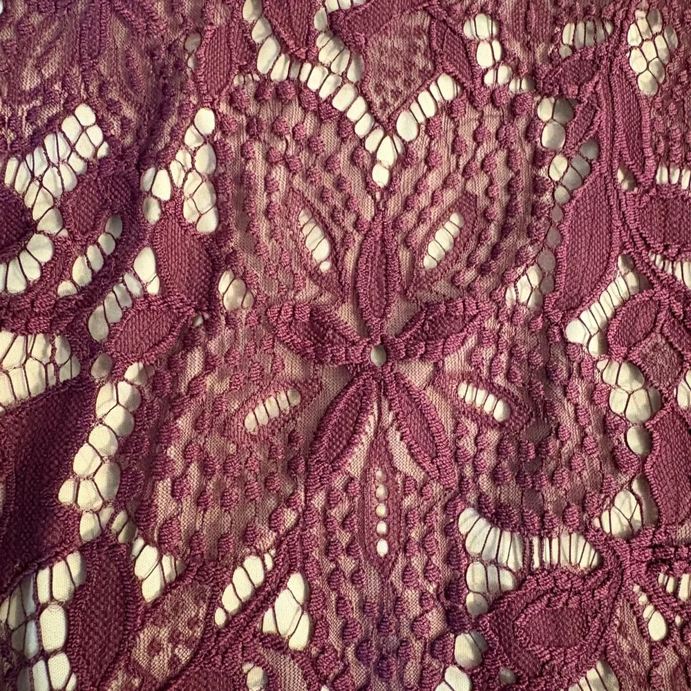 Express Plum Lace Mini Dress
